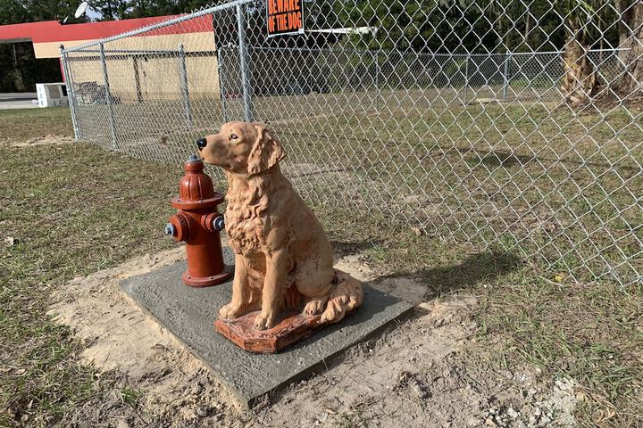 Pet Friendly 15 of 22