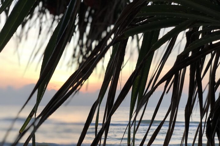Beach 25 of 65