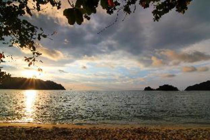 Image of Casuarina Pangkor