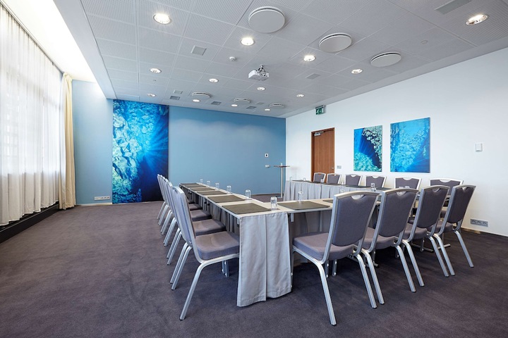 Meeting 113 of 119