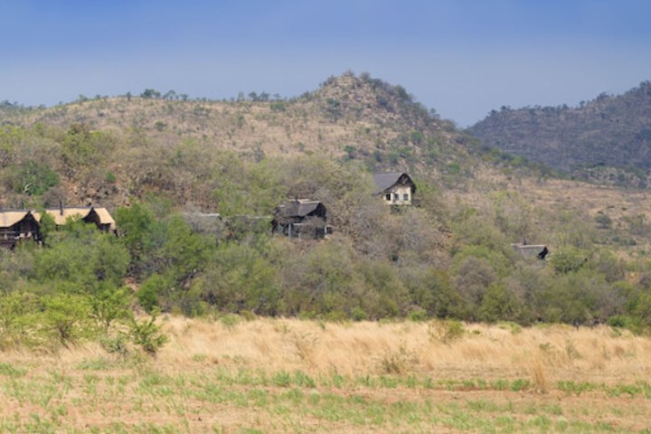 Game drive