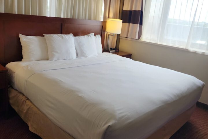 1 King Bed (4 of 8)