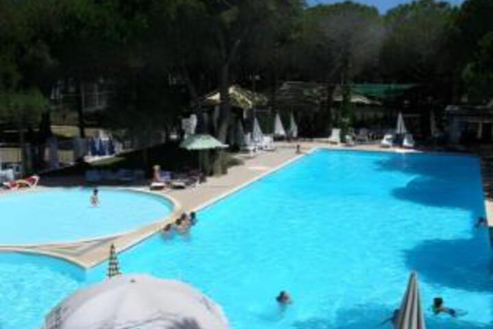 Pool 14 of 23