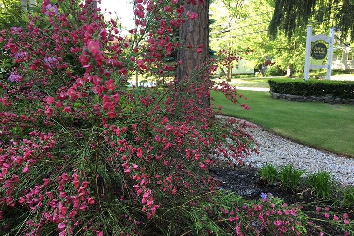 Hotel Exterior 65 of 72