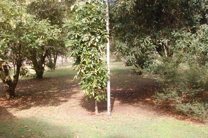 Property Grounds 21 of 36