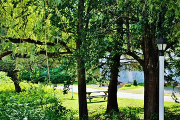 Property Grounds 17 of 18
