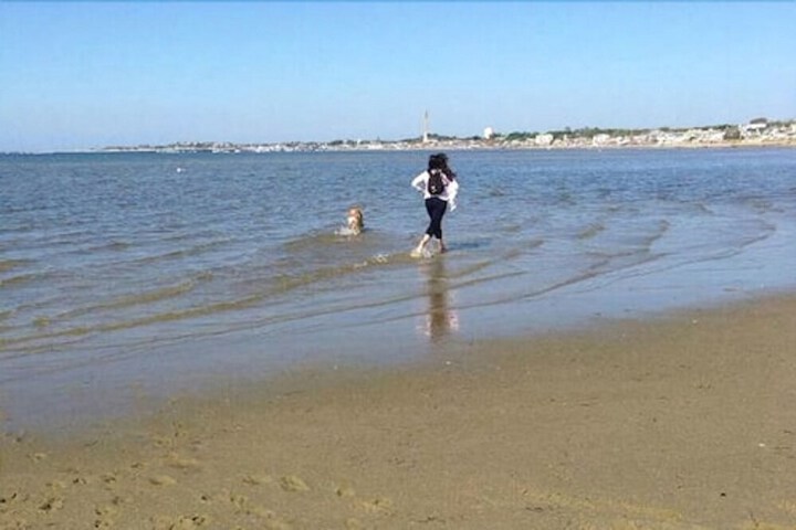 Beach 157 of 168