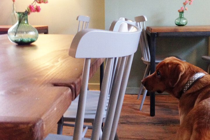 Dining 63 of 78