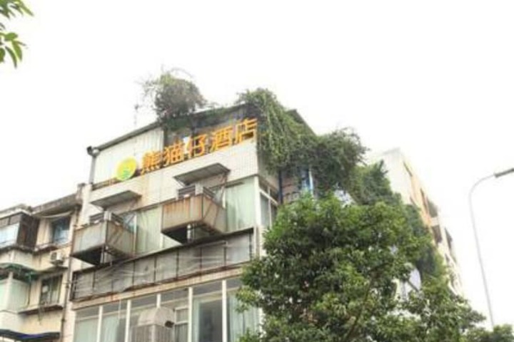 Panda Club Jiaotong University Branch