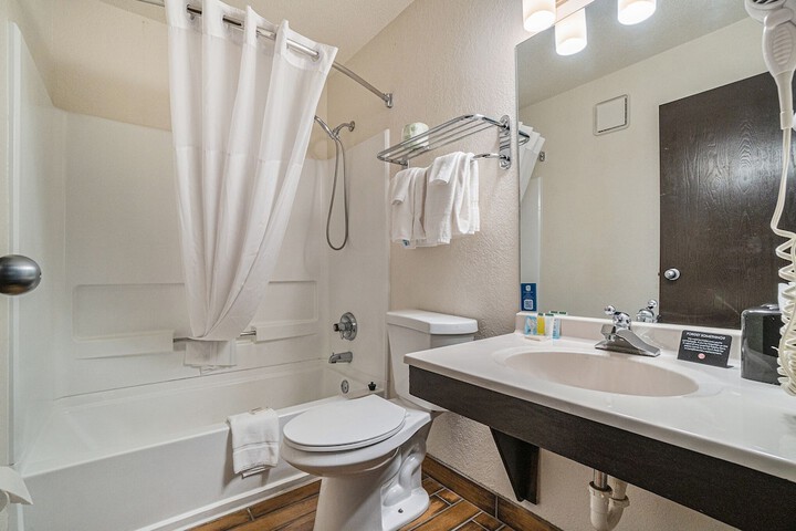 1 Queen Bed Mobility Accessible Roll in Shower (9 of 26)