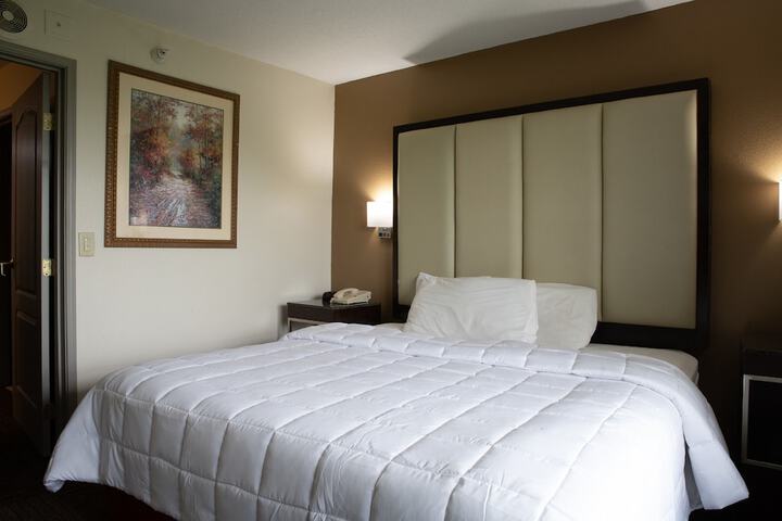 Standard | King Bed (1 of 15)