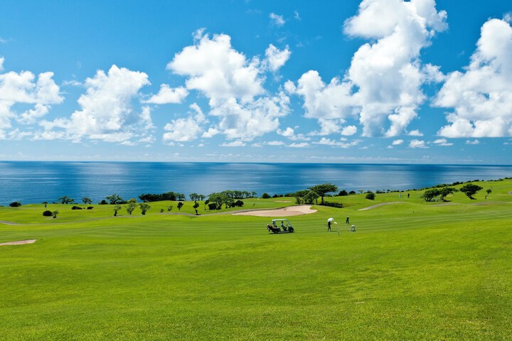 Golf 23 of 34