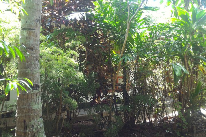 ZAHIR RETREAT