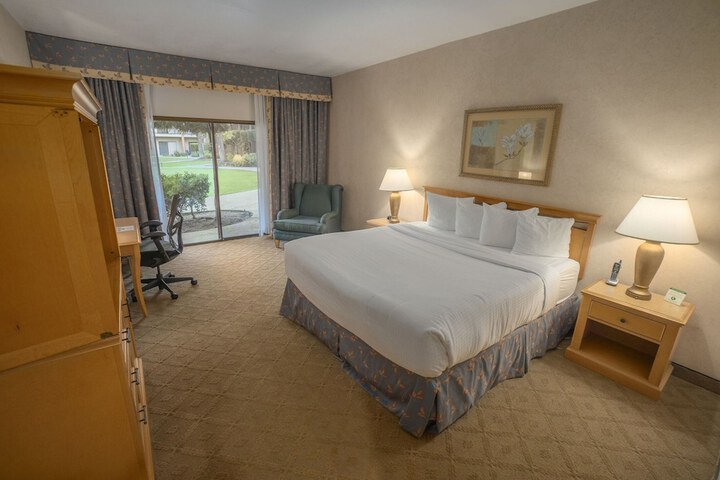 1 King Bed Accessible (2 of 17)
