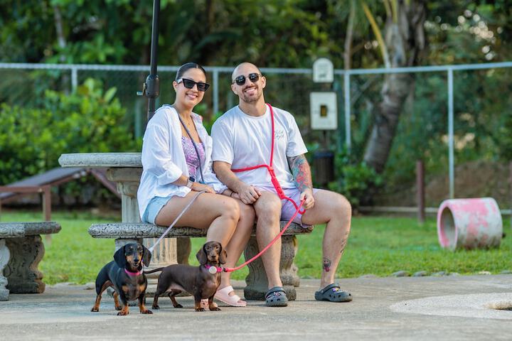 Pet Friendly 47 of 105