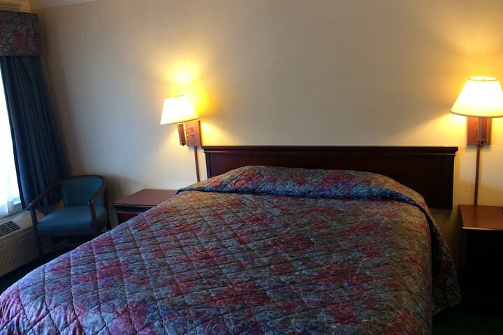 Standard | King Bed (4 of 6)