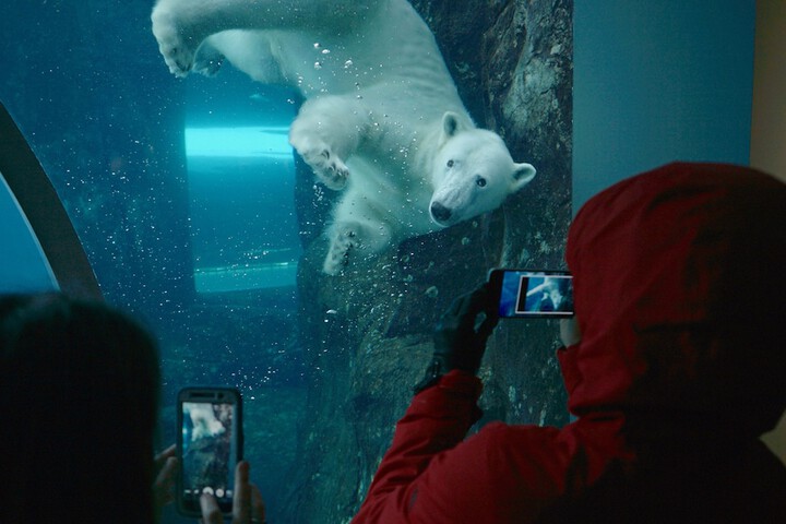 Childrens Activities 46 of 76