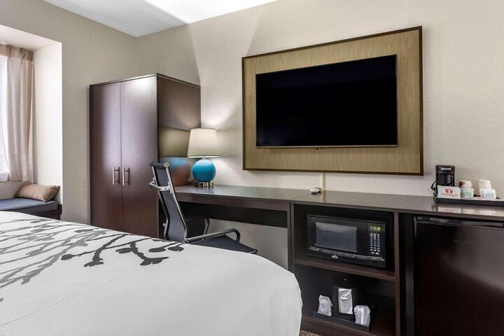 1 King Bed Accessible (7 of 15)