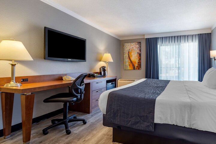 1 King Bed WiFi (7 of 14)