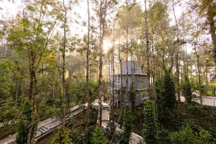 Sarvakaya Timber Trails