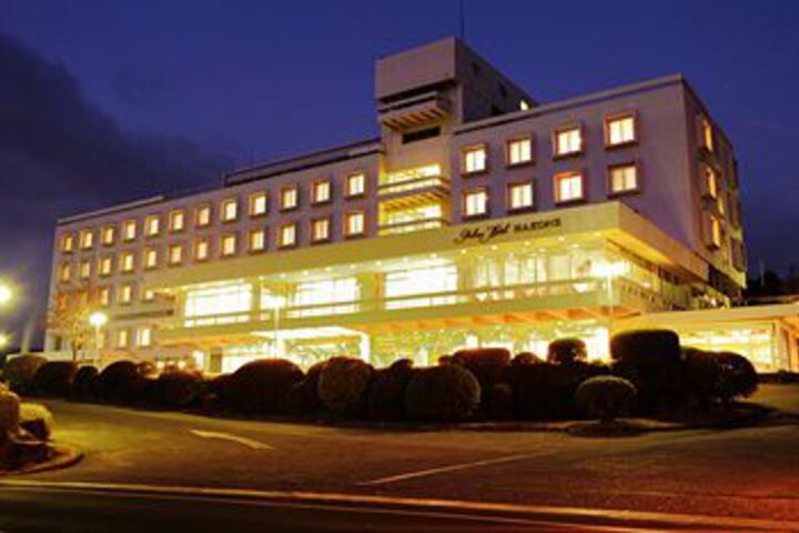 Palace Hotel Hakone