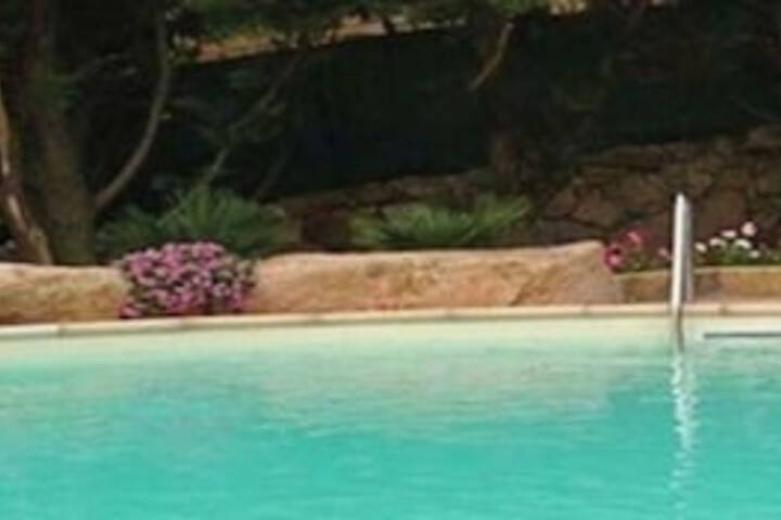 Hotel Pool