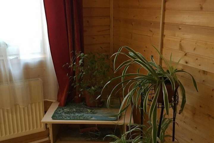 Room 30 of 46