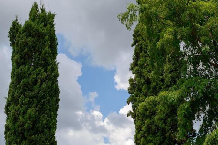 Hotel 53 of 61