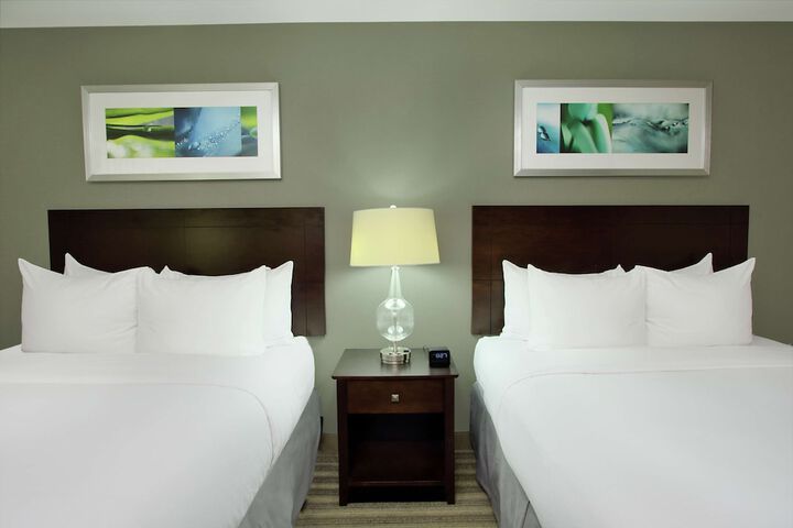 2 Double Beds Mobility Hearing Accessible Bathtub (1 of 3)