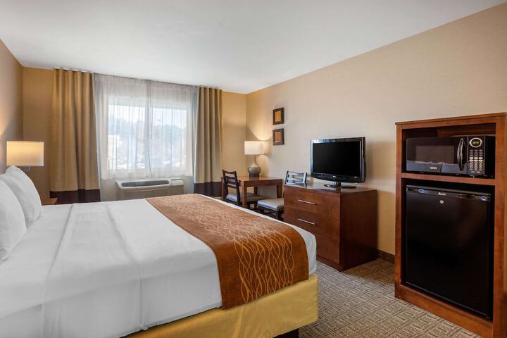 Standard | King Bed (16 of 21)