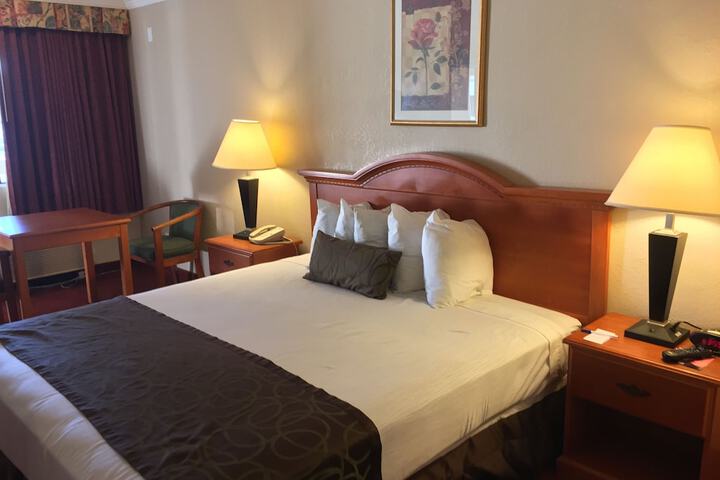 Standard | King Bed (5 of 7)