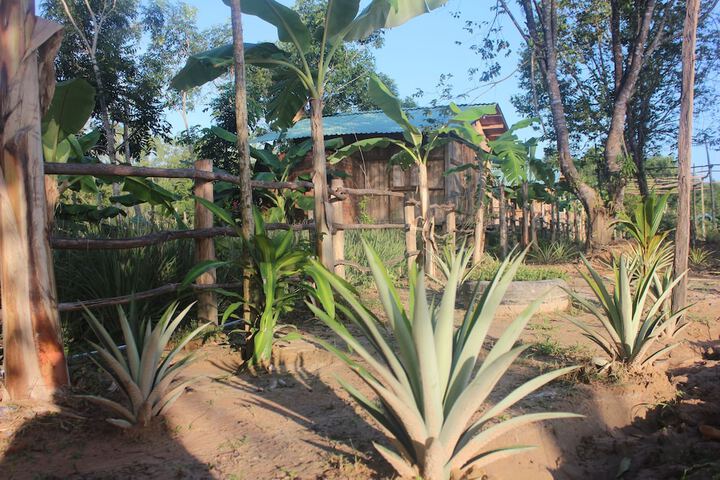 Hero Image 1 of 44