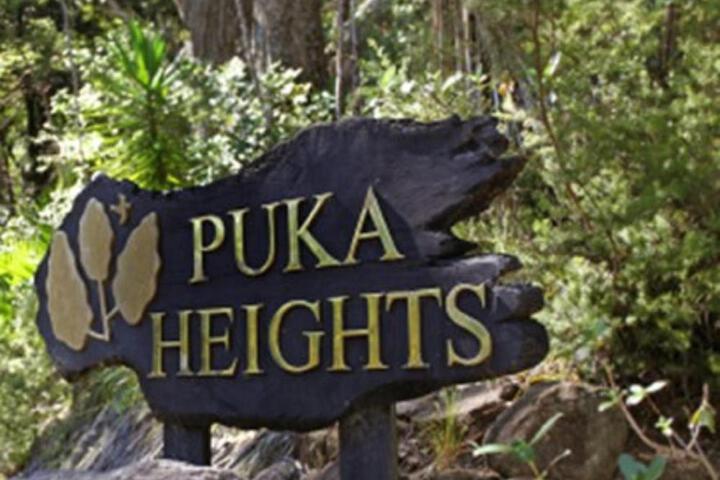 Puka Heights