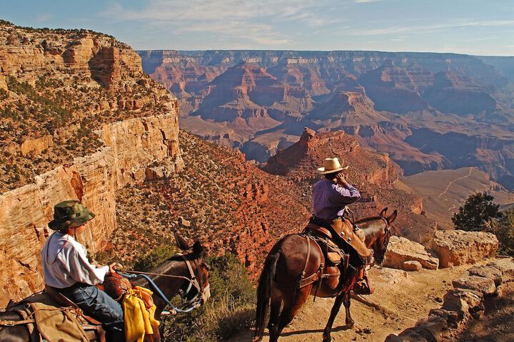 Horseback riding