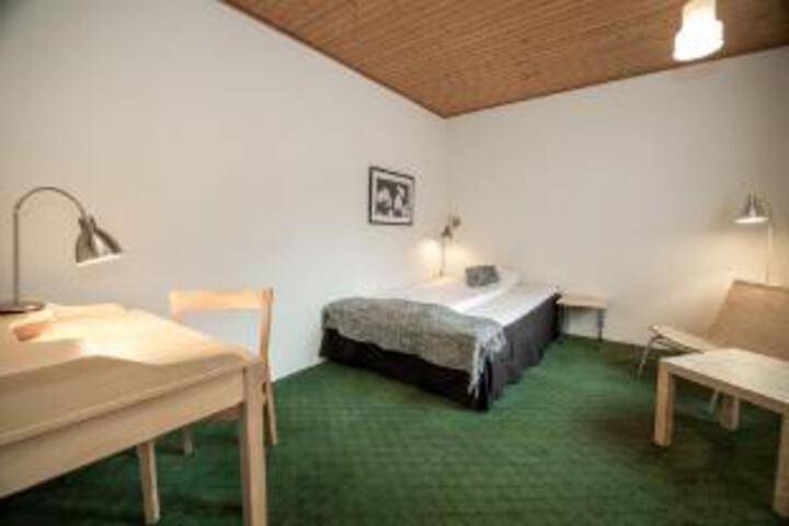 Photo 6