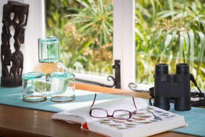 In-Room Amenity