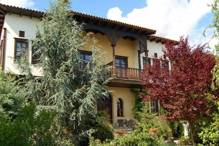 Mansion Viglatoras