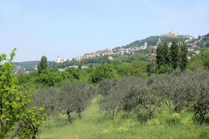 Photo 30