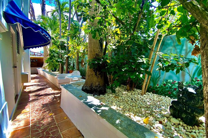 Garden view