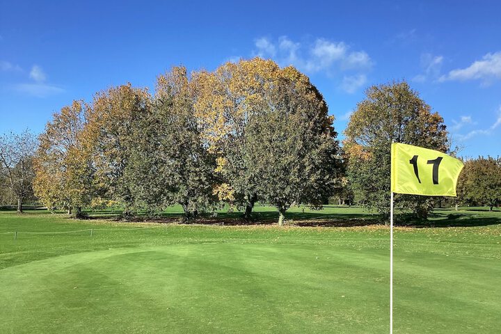 Golf 14 of 31