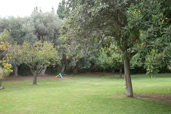 Property Grounds 77 of 86