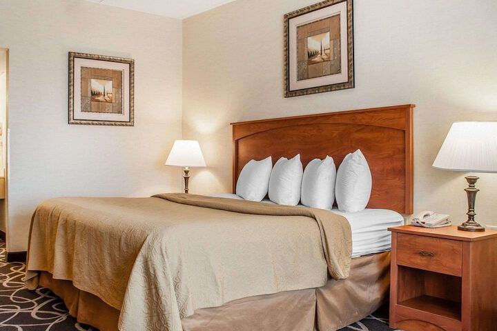 1 King Bed Suite with Sofa Bed (8 of 10)
