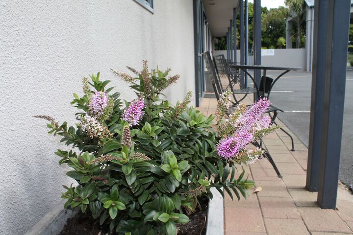 Terrace/Patio 43 of 45
