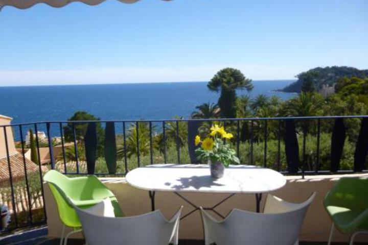 General 6 of 33