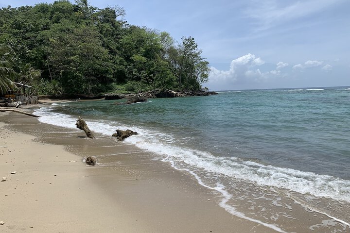 Beach 109 of 131