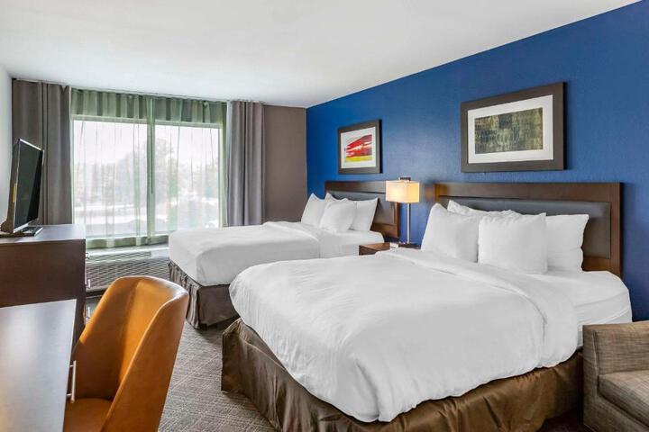 2 Queen Beds (3 of 9)
