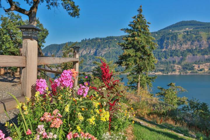 Wedding/Banquet 42 of 56