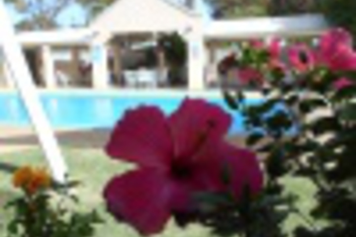 Hotel Exterior 16 of 348