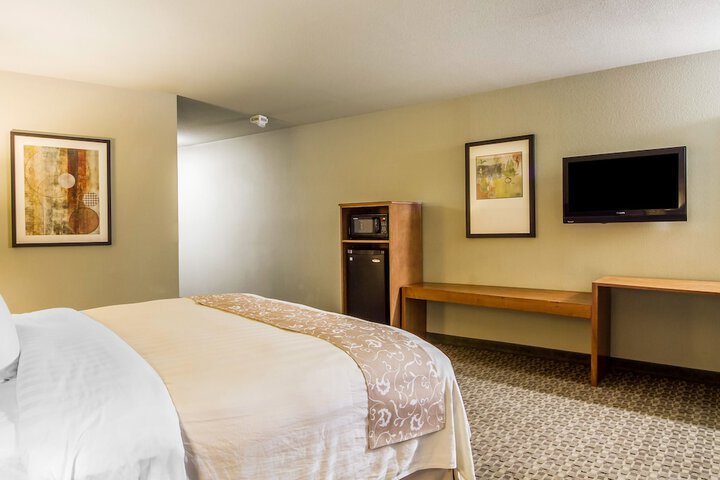 1 King Bed (8 of 10)