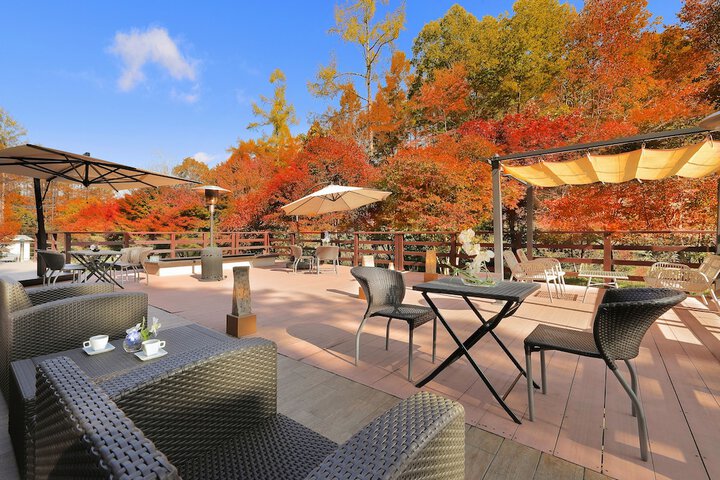 Terrace/Patio 98 of 111